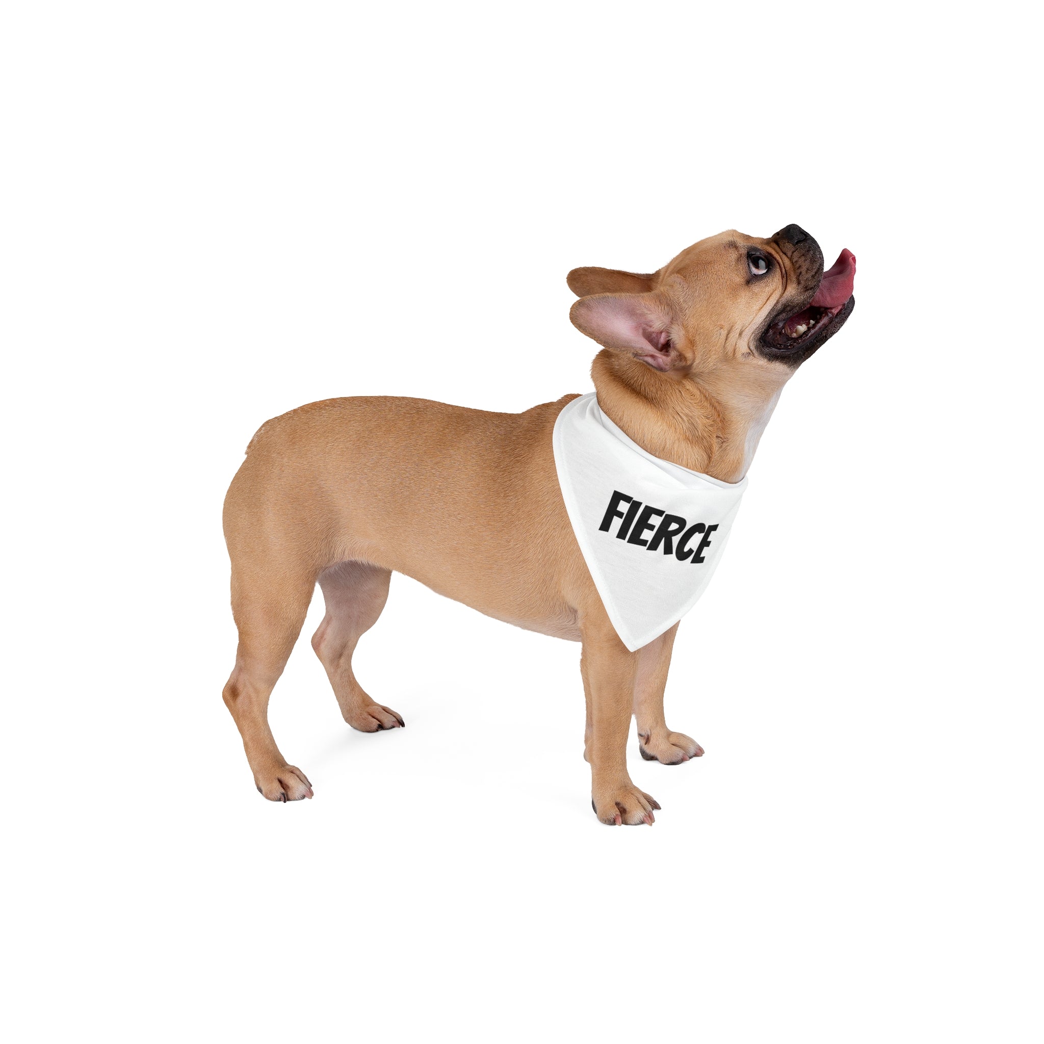 'Fierce' Pet Bandana for Stylish Dogs