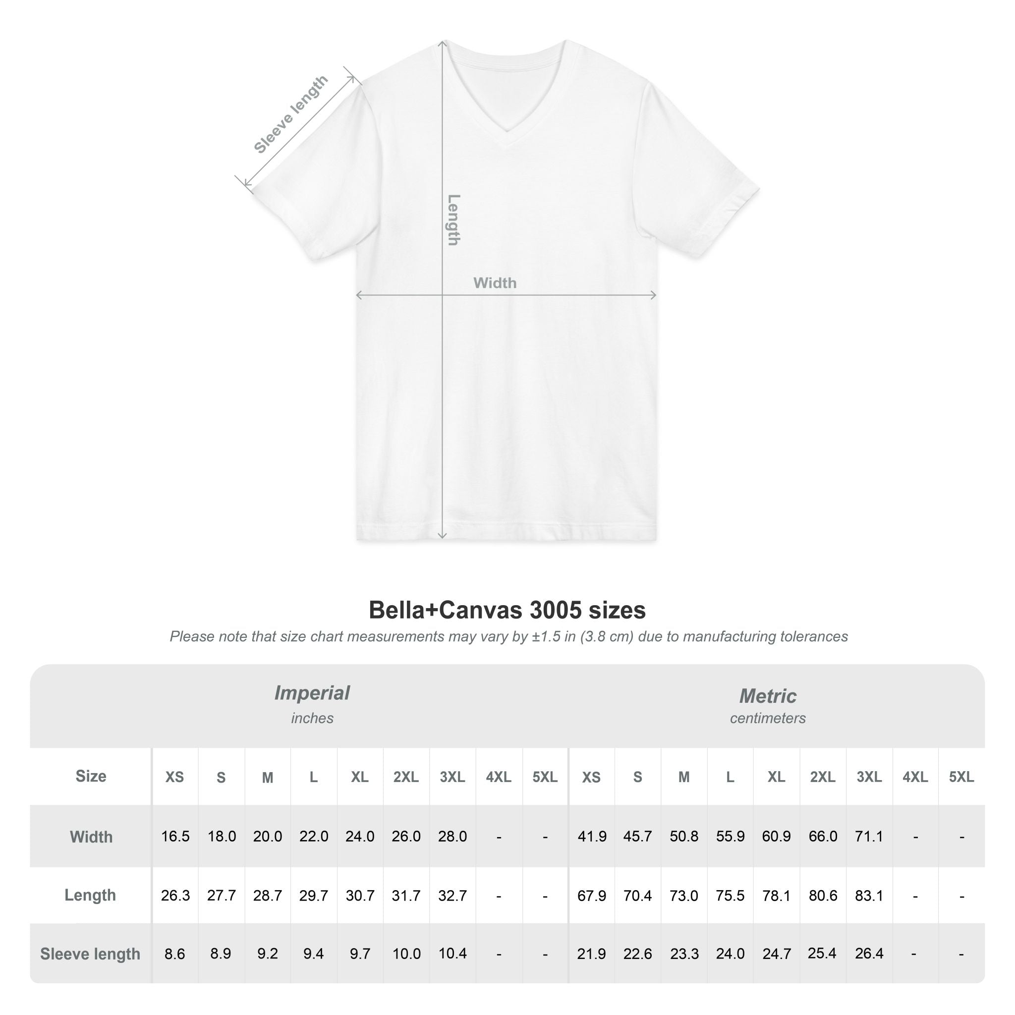 Unapologetically Ambitious V-Neck Tee