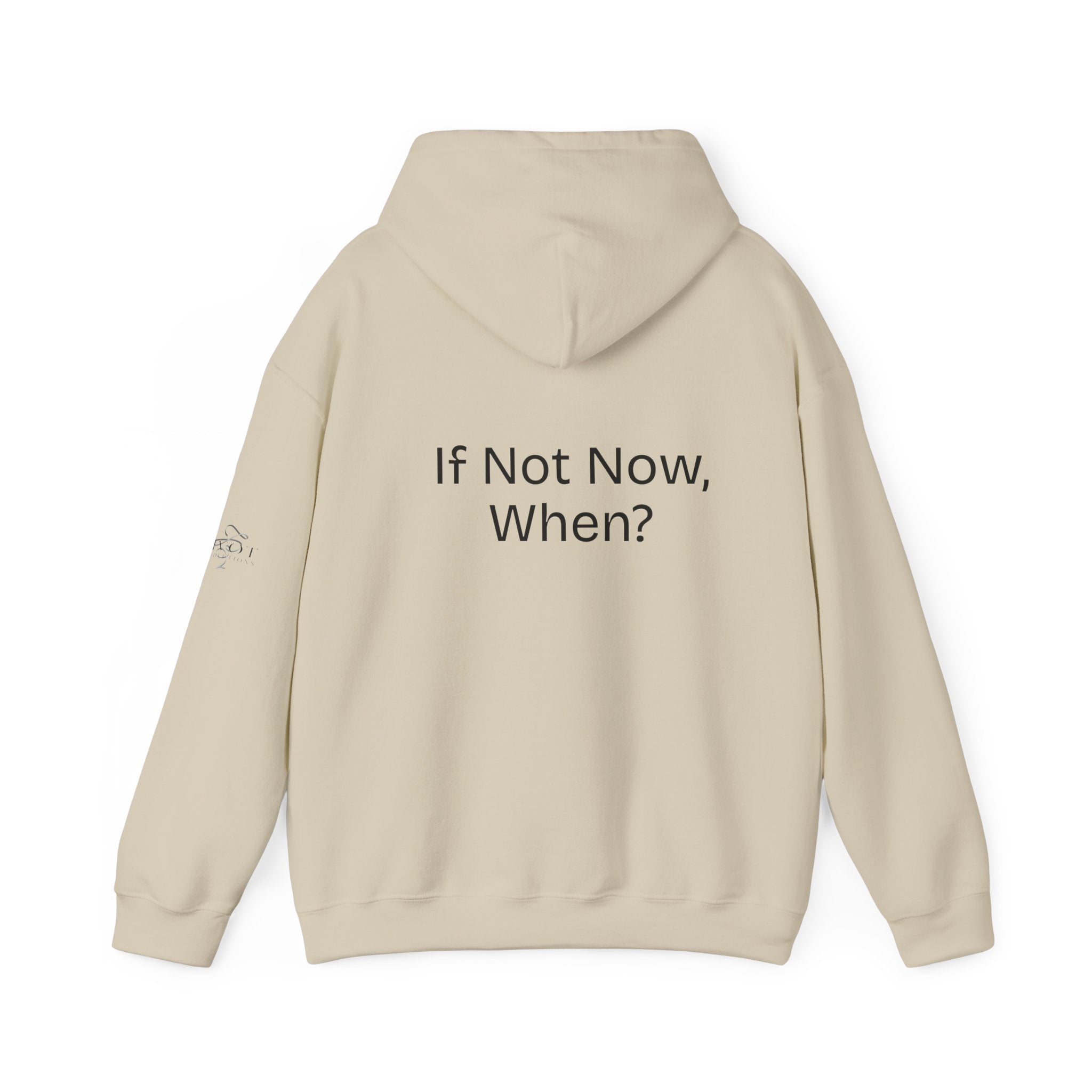 'Shoot Your Shot' Hoodie — with 'If Not Now, When?' on back Motivational Hoodie