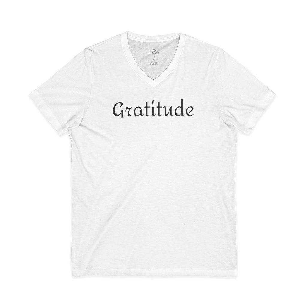 Gratitude (front) / Be The Change (back) V-Neck Tee | Unisex Inspirational Shirt