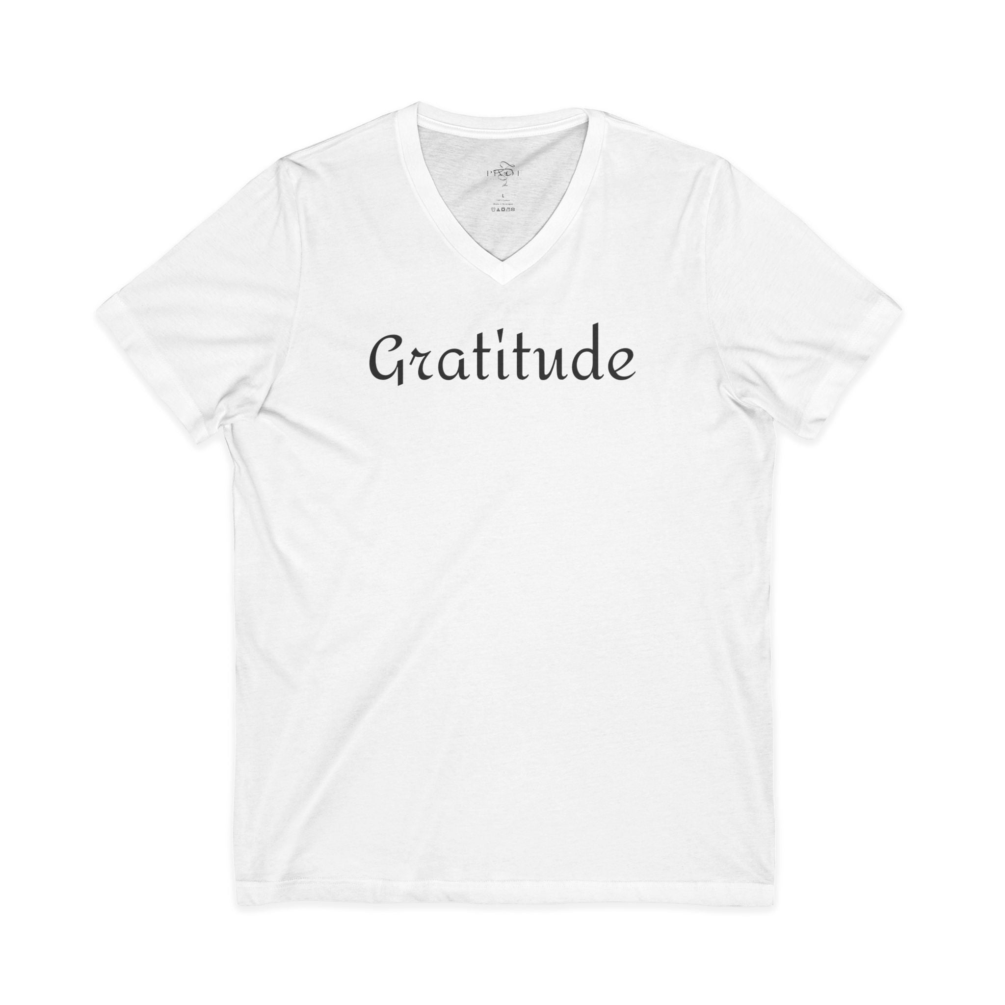 Gratitude (front) / Be The Change (back) V-Neck Tee | Unisex Inspirational Shirt