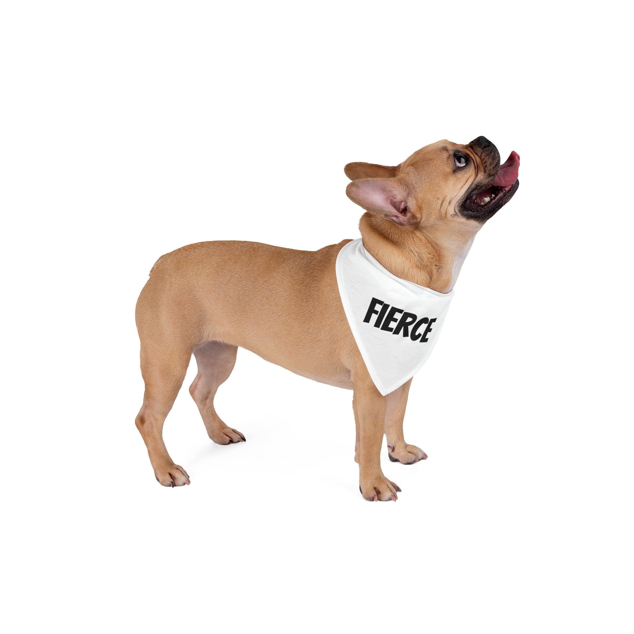 'Fierce' Pet Bandana for Stylish Dogs